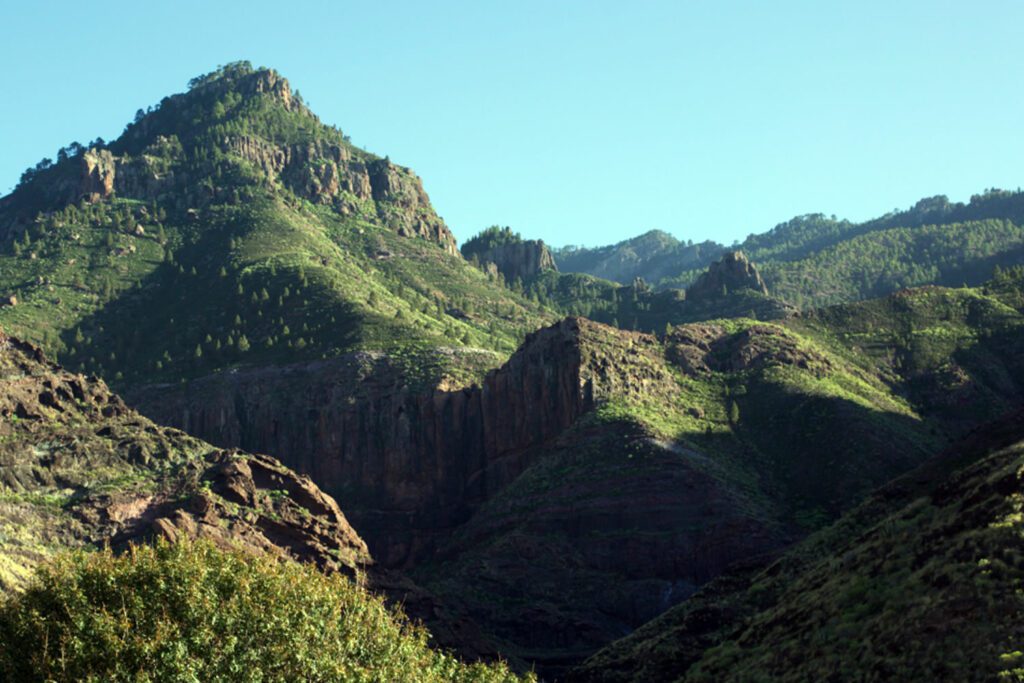 Natural Park of Tamadaba